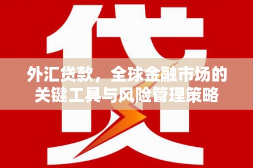 泸定外汇贷款，全球金融市场的关键工具与风险管理策略
