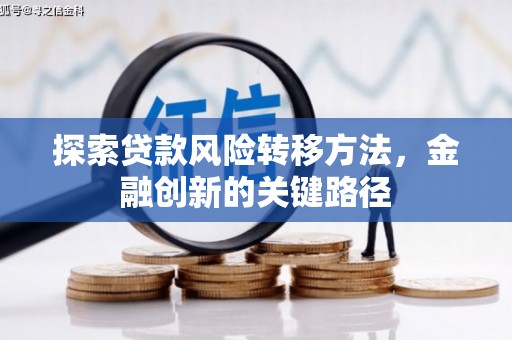 泸定探索贷款风险转移方法，金融创新的关键路径