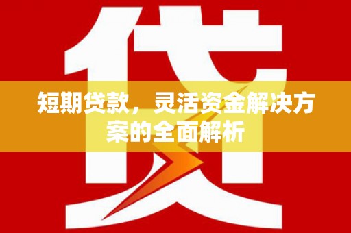 泸定短期贷款，灵活资金解决方案的全面解析