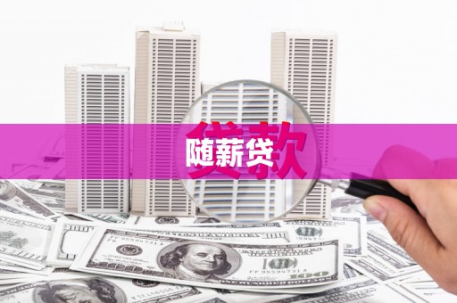 泸定随薪贷