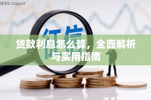 泸定贷款利息怎么算，全面解析与实用指南
