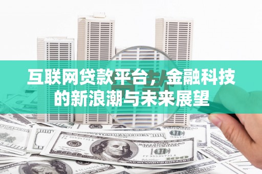 泸定互联网贷款平台，金融科技的新浪潮与未来展望