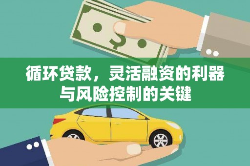 泸定循环贷款，灵活融资的利器与风险控制的关键