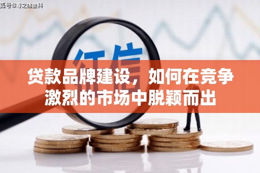 泸定贷款品牌建设，如何在竞争激烈的市场中脱颖而出