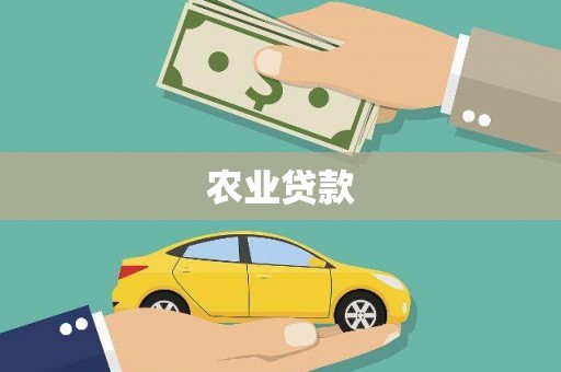 泸定农业贷款