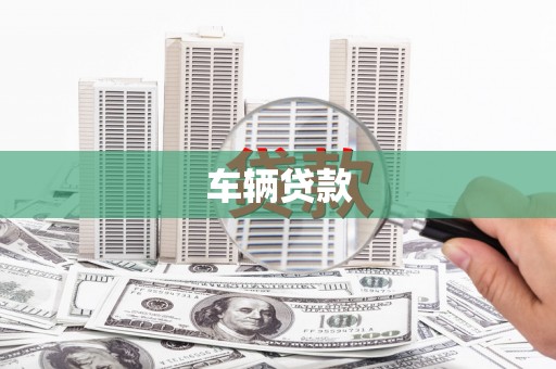泸定车辆贷款