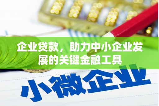 泸定企业贷款，助力中小企业发展的关键金融工具