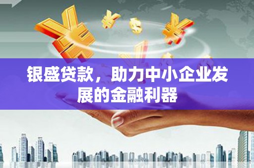 泸定银盛贷款，助力中小企业发展的金融利器