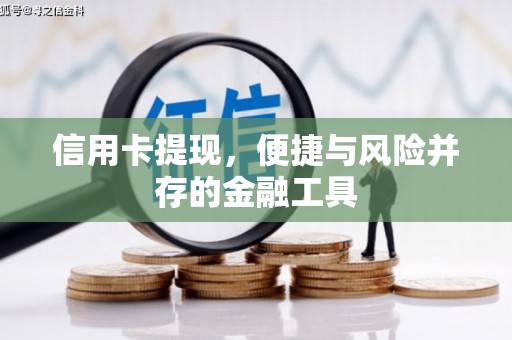 泸定信用卡提现，便捷与风险并存的金融工具