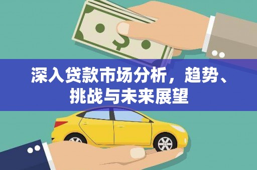 泸定深入贷款市场分析，趋势、挑战与未来展望