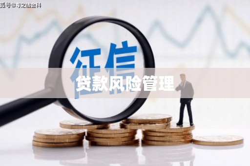 泸定贷款风险管理
