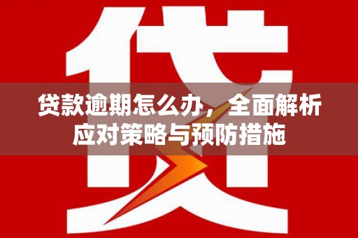 泸定贷款逾期怎么办，全面解析应对策略与预防措施