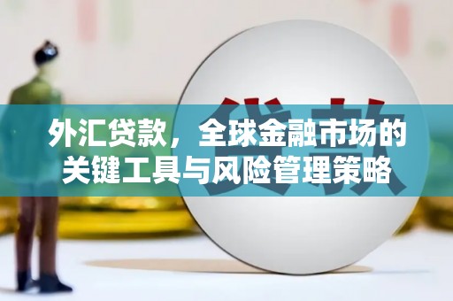 泸定外汇贷款，全球金融市场的关键工具与风险管理策略