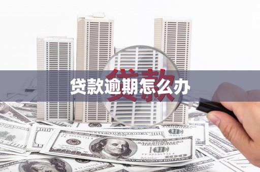 泸定贷款逾期怎么办