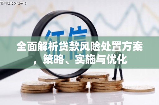 泸定全面解析贷款风险处置方案，策略、实施与优化
