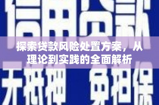 泸定探索贷款风险处置方案，从理论到实践的全面解析