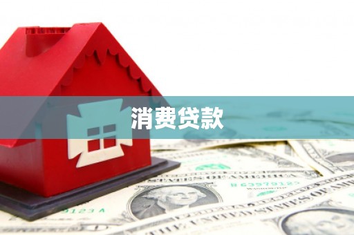 泸定消费贷款