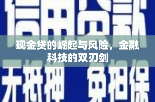 泸定现金贷的崛起与风险，金融科技的双刃剑