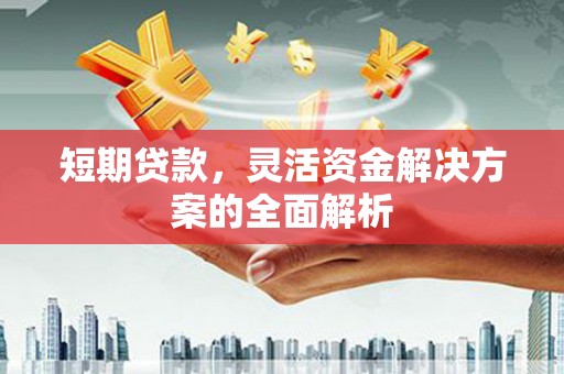 泸定短期贷款，灵活资金解决方案的全面解析