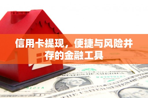 泸定信用卡提现，便捷与风险并存的金融工具