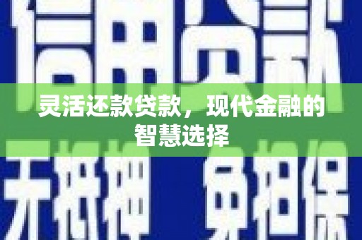 泸定灵活还款贷款，现代金融的智慧选择