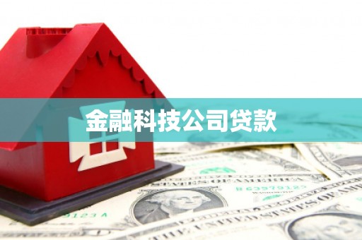 泸定金融科技公司贷款