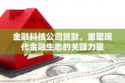 泸定金融科技公司贷款，重塑现代金融生态的关键力量