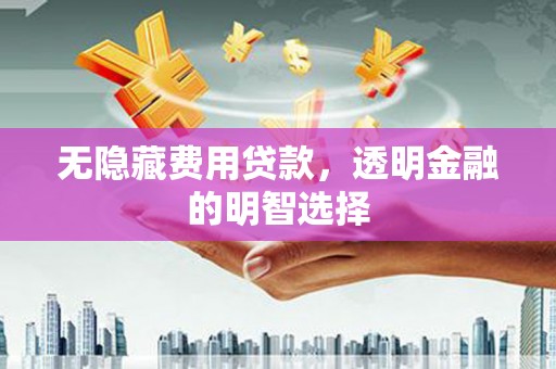 泸定无隐藏费用贷款，透明金融的明智选择