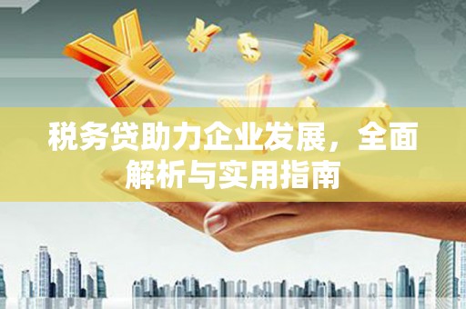 泸定税务贷助力企业发展，全面解析与实用指南