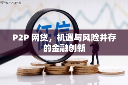 泸定P2P 网贷，机遇与风险并存的金融创新