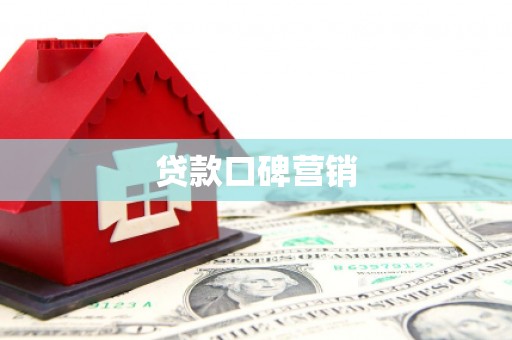 泸定贷款口碑营销