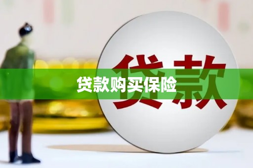 泸定贷款购买保险