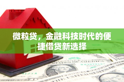 泸定微粒贷，金融科技时代的便捷借贷新选择