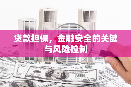 泸定贷款担保，金融安全的关键与风险控制