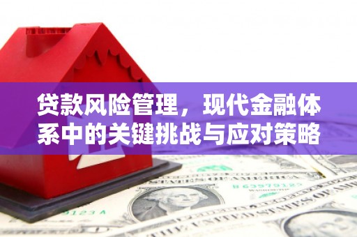 泸定贷款风险管理，现代金融体系中的关键挑战与应对策略