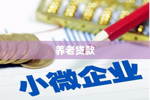 泸定养老贷款