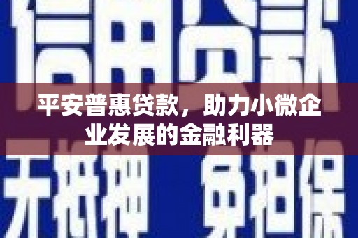 泸定平安普惠贷款，助力小微企业发展的金融利器