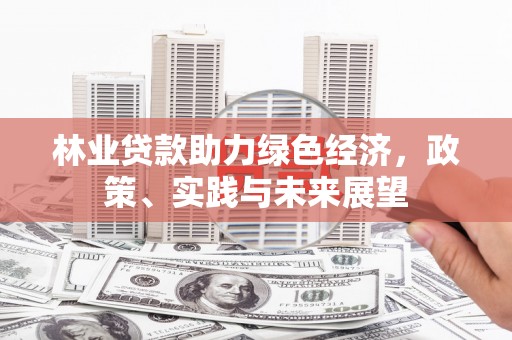 泸定林业贷款助力绿色经济，政策、实践与未来展望