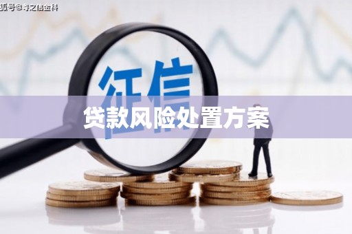 泸定贷款风险处置方案