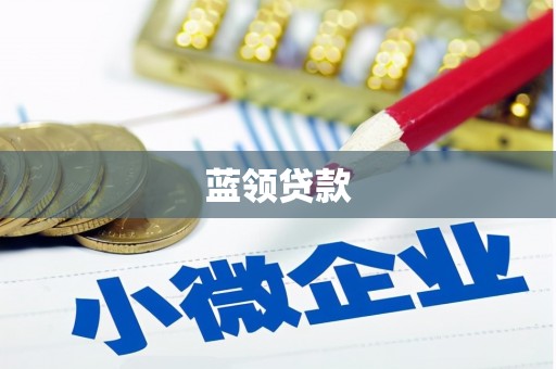 泸定蓝领贷款