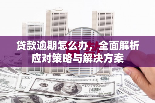 泸定贷款逾期怎么办，全面解析应对策略与解决方案