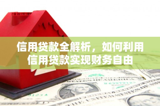 泸定信用贷款全解析，如何利用信用贷款实现财务自由