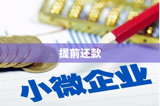 泸定提前还款