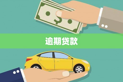 泸定逾期贷款